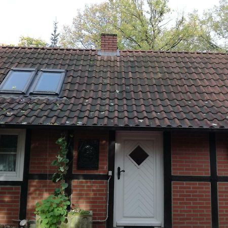 Ferienhaus In Rumke Bippen Екстериор снимка