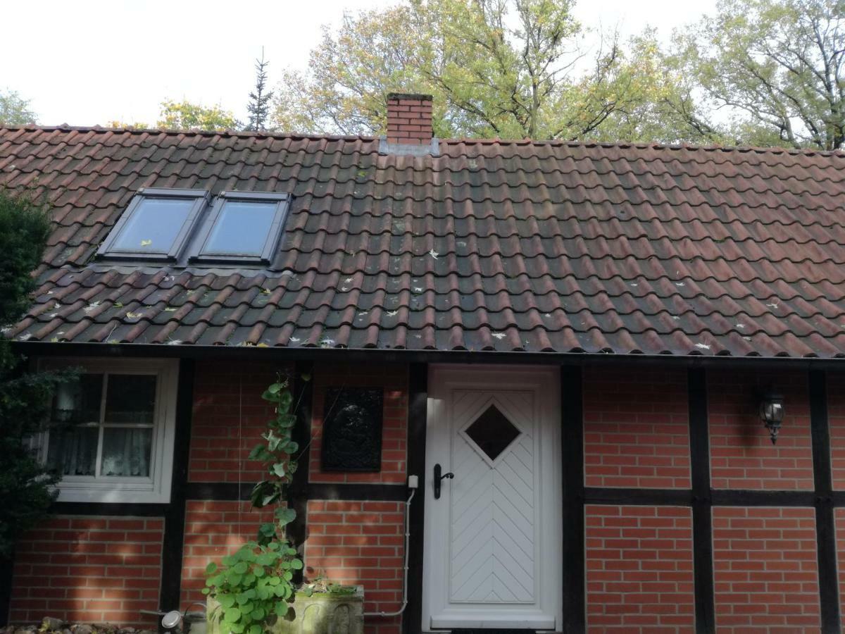 Ferienhaus In Rumke Bippen Екстериор снимка